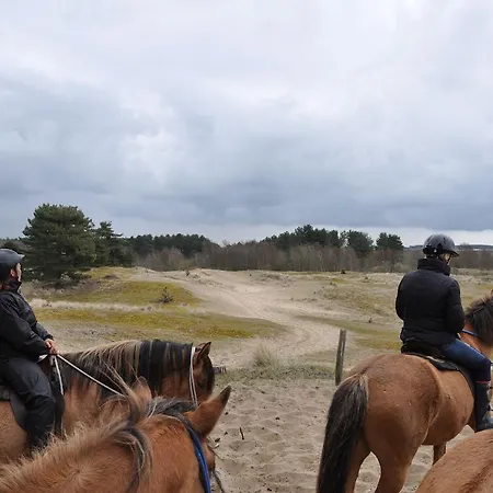 - Entre Ciel Et Daire *